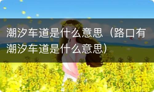 潮汐车道是什么意思（路口有潮汐车道是什么意思）