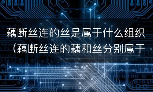 藕断丝连的丝是属于什么组织（藕断丝连的藕和丝分别属于什么）