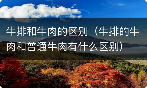 牛排和牛肉的区别（牛排的牛肉和普通牛肉有什么区别）