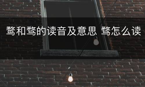 鹜和骛的读音及意思 骛怎么读