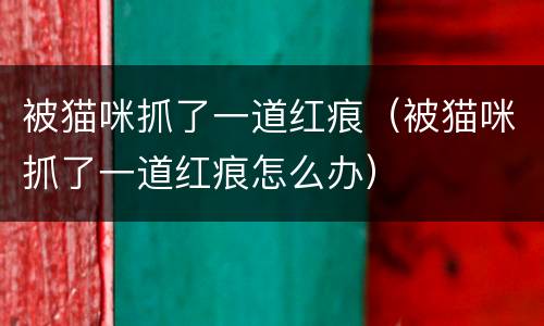 被猫咪抓了一道红痕（被猫咪抓了一道红痕怎么办）