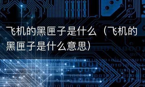 飞机的黑匣子是什么（飞机的黑匣子是什么意思）