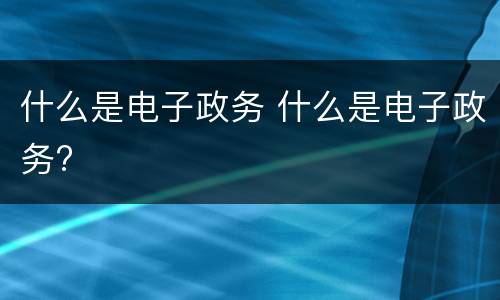 什么是电子政务 什么是电子政务?