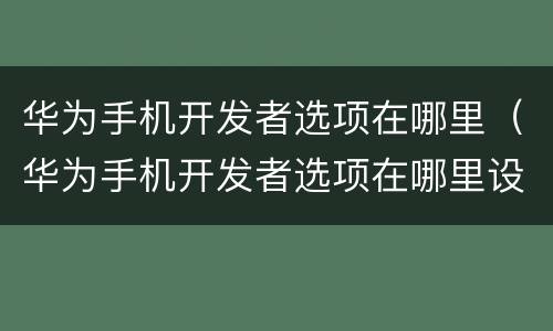 华为手机开发者选项在哪里（华为手机开发者选项在哪里设置）