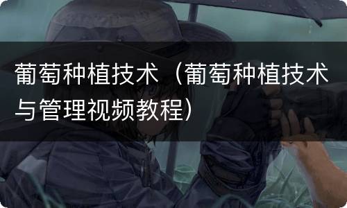 葡萄种植技术（葡萄种植技术与管理视频教程）