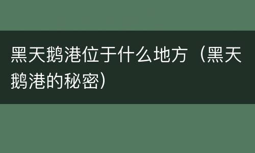 黑天鹅港位于什么地方（黑天鹅港的秘密）