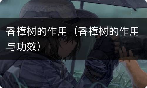 香樟树的作用（香樟树的作用与功效）