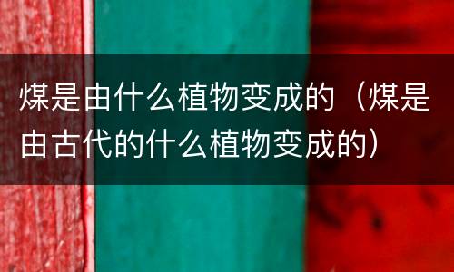 煤是由什么植物变成的（煤是由古代的什么植物变成的）