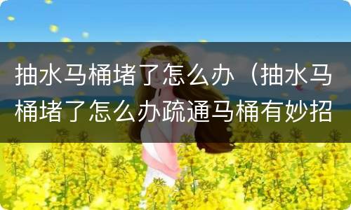 抽水马桶堵了怎么办（抽水马桶堵了怎么办疏通马桶有妙招）