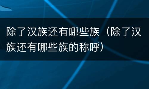 除了汉族还有哪些族（除了汉族还有哪些族的称呼）