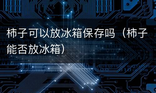柿子可以放冰箱保存吗（柿子能否放冰箱）