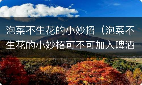 泡菜不生花的小妙招（泡菜不生花的小妙招可不可加入啤酒）
