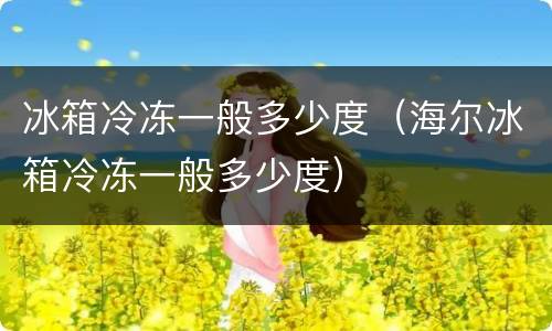 冰箱冷冻一般多少度（海尔冰箱冷冻一般多少度）
