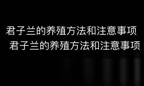 君子兰的养殖方法和注意事项 君子兰的养殖方法和注意事项 盆栽 水培