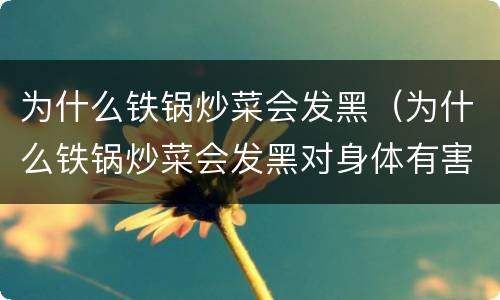 为什么铁锅炒菜会发黑（为什么铁锅炒菜会发黑对身体有害么）