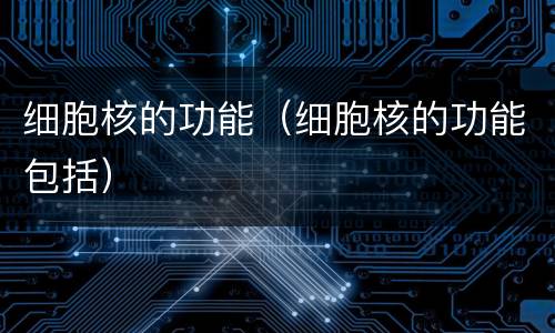 细胞核的功能（细胞核的功能包括）