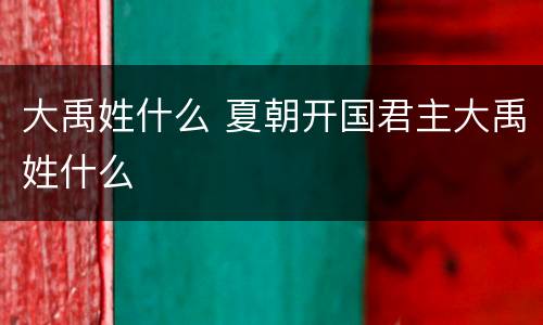 大禹姓什么 夏朝开国君主大禹姓什么