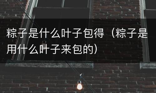 粽子是什么叶子包得（粽子是用什么叶子来包的）