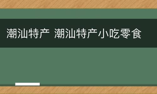 潮汕特产 潮汕特产小吃零食