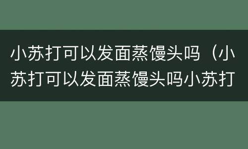 小苏打可以发面蒸馒头吗（小苏打可以发面蒸馒头吗小苏打对人体有害吗?）
