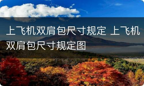 上飞机双肩包尺寸规定 上飞机双肩包尺寸规定图