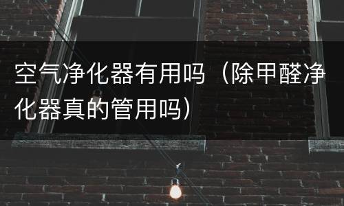 空气净化器有用吗（除甲醛净化器真的管用吗）