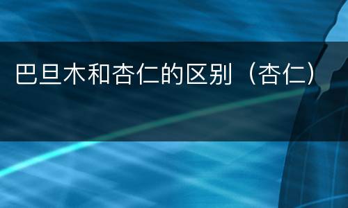 巴旦木和杏仁的区别（杏仁）
