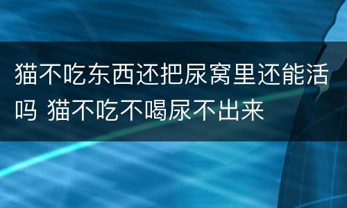 猫不吃东西还把尿窝里还能活吗 猫不吃不喝尿不出来
