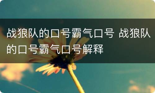 战狼队的口号霸气口号 战狼队的口号霸气口号解释