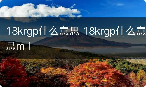 18krgp什么意思 18krgp什么意思m l
