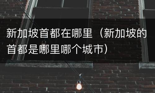 新加坡首都在哪里（新加坡的首都是哪里哪个城市）