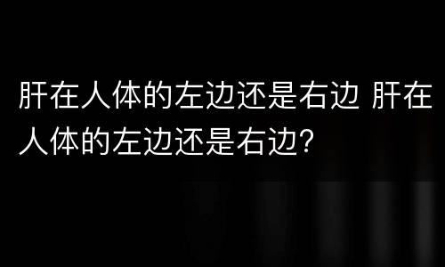 肝在人体的左边还是右边 肝在人体的左边还是右边?