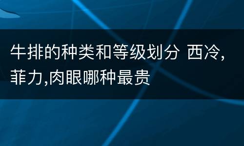 牛排的种类和等级划分 西冷,菲力,肉眼哪种最贵