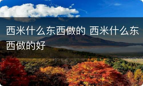 西米什么东西做的 西米什么东西做的好