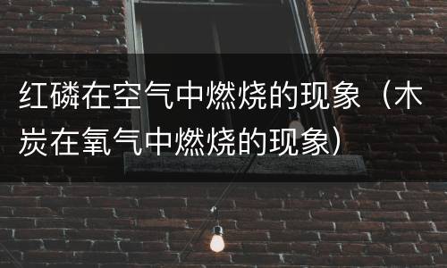 红磷在空气中燃烧的现象（木炭在氧气中燃烧的现象）