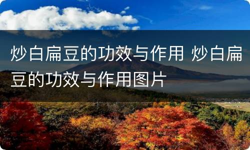 炒白扁豆的功效与作用 炒白扁豆的功效与作用图片