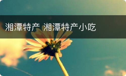 湘潭特产 湘潭特产小吃