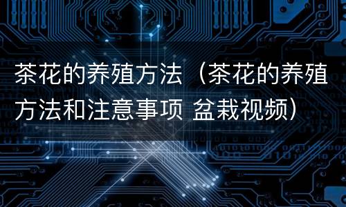 茶花的养殖方法（茶花的养殖方法和注意事项 盆栽视频）