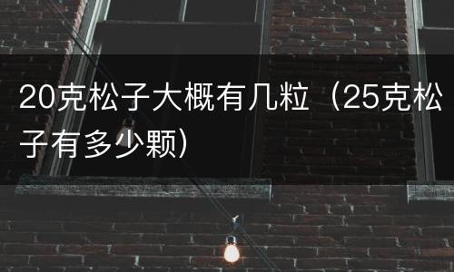 20克松子大概有几粒（25克松子有多少颗）