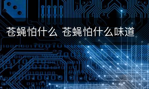 苍蝇怕什么 苍蝇怕什么味道