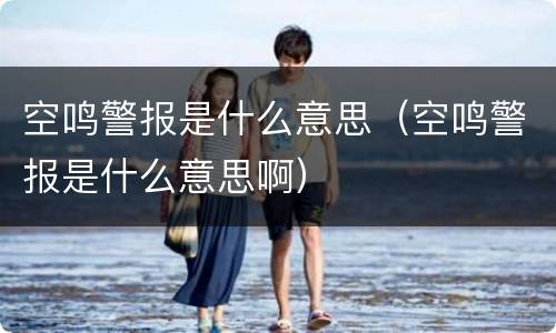 空鸣警报是什么意思（空鸣警报是什么意思啊）
