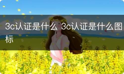 3c认证是什么 3c认证是什么图标
