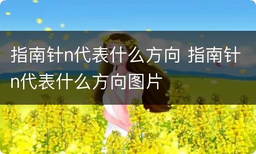指南针n代表什么方向 指南针n代表什么方向图片