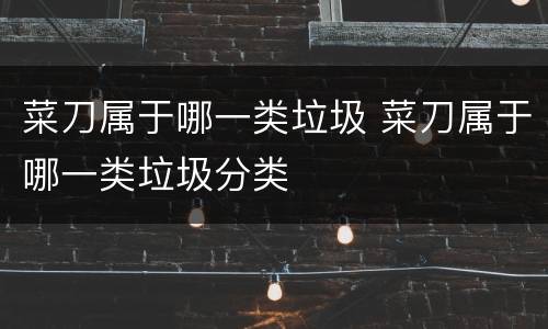 菜刀属于哪一类垃圾 菜刀属于哪一类垃圾分类