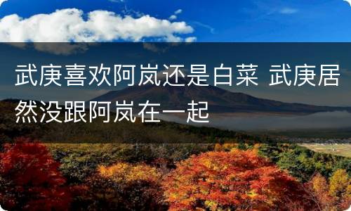 武庚喜欢阿岚还是白菜 武庚居然没跟阿岚在一起
