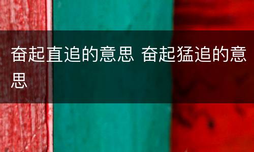 奋起直追的意思 奋起猛追的意思