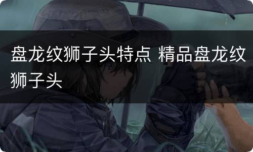 盘龙纹狮子头特点 精品盘龙纹狮子头