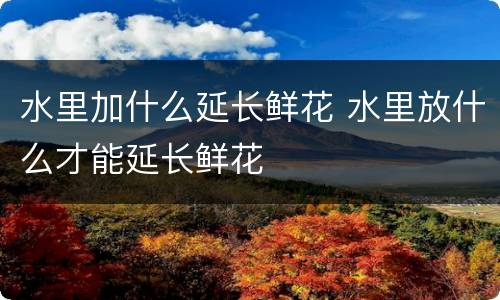 水里加什么延长鲜花 水里放什么才能延长鲜花