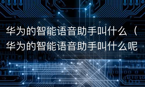 华为的智能语音助手叫什么（华为的智能语音助手叫什么呢?）