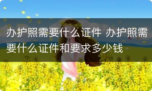 办护照需要什么证件 办护照需要什么证件和要求多少钱